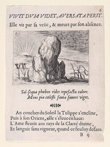 Les Tulipes et le Soleil (The Tulips and the Sun), plate 6 from "Lux Claustri ou La Lumière du Cloitre" (The Light of the Cloisters)