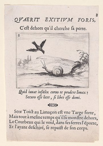 Le Corbeau et Le Limaçon (The Raven and the Snail), plate 8 from "Lux Claustri ou La Lumière du Cloitre" (The Light of the Cloisters)