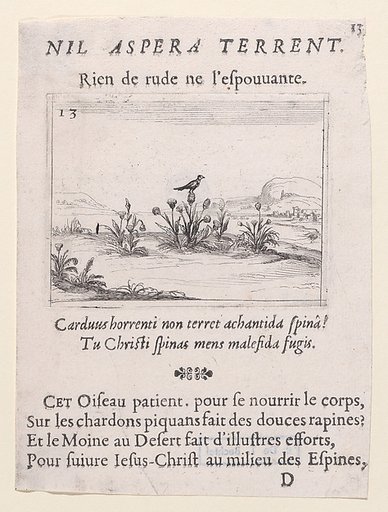 L'Oiseau Posé sur un Chardon en Fleurs (The Bird Standing on Thistle Flower), plate 13 from "Lux Claustri ou La Lumière du Cloitre" (The Light of the Cloisters)