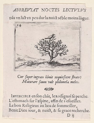 Le Rossignol Posé sur un Buisson (A Nightengale Standing on a Bush), plate 14 from "Lux Claustri ou La Lumière du Cloitre" (The Light of the Cloisters)