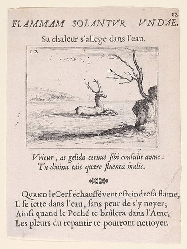 Un Cerf dans l'Eau (A Deer in the Water), plate 12 from "Lux Claustri ou La Lumière du Cloitre" (The Light of the Cloisters)