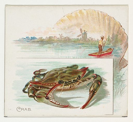 Crab, from Fish from American Waters series (N39) for Allen & Ginter Cigarettes