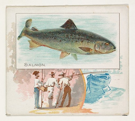 Salmon, from Fish from American Waters series (N39) for Allen & Ginter Cigarettes