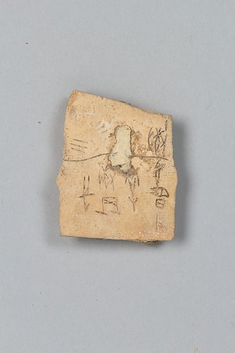 Oracle bone fragment