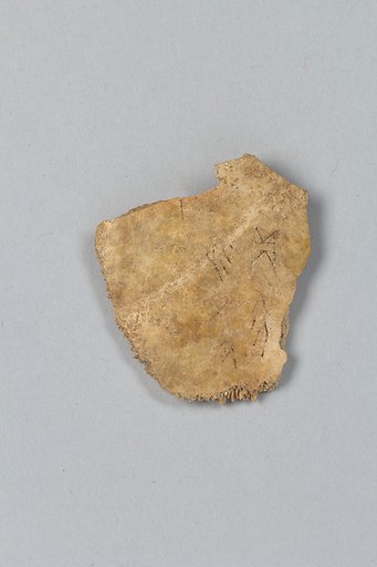 Oracle bone fragment