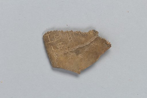 Oracle bone fragment