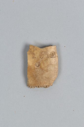 Oracle bone fragment