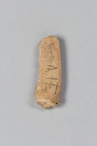 Oracle bone fragment