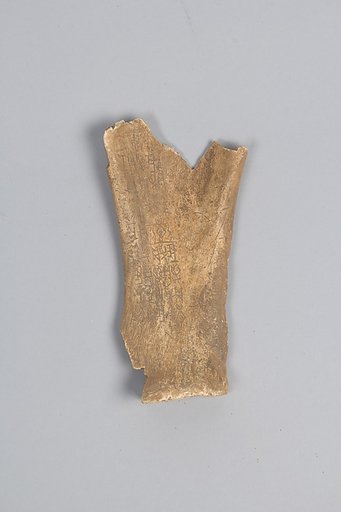 Oracle bone fragment