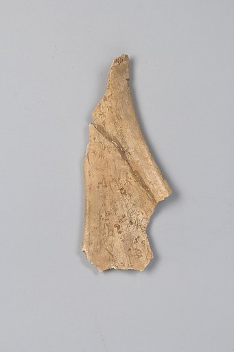 Oracle bone fragment