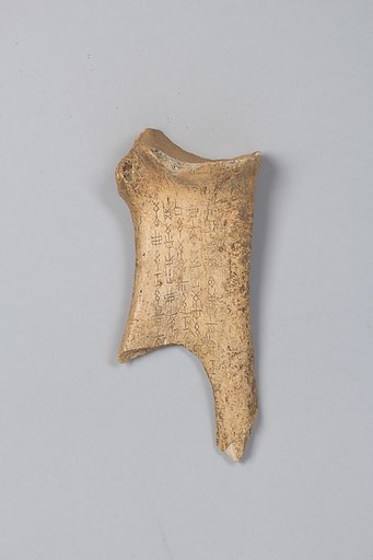 Oracle bone fragment