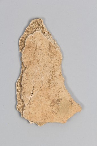 Oracle bone fragment