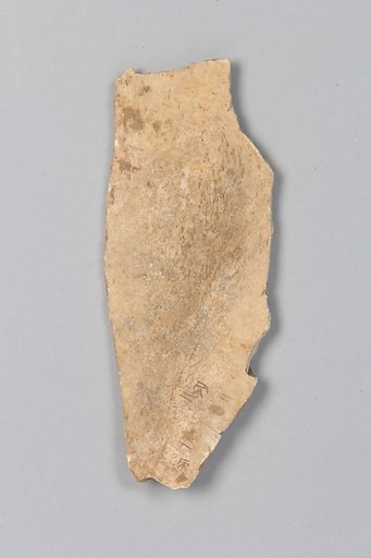 Oracle bone fragment