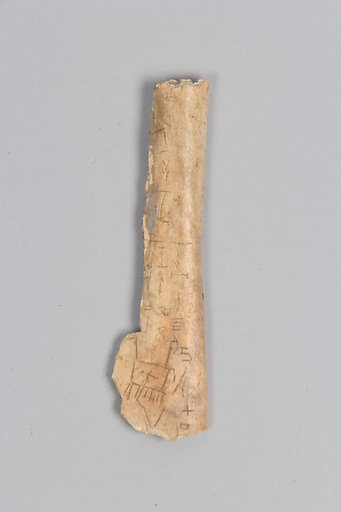 Oracle bone fragment