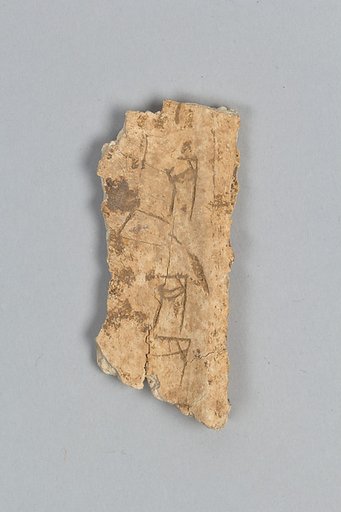 Oracle bone fragment