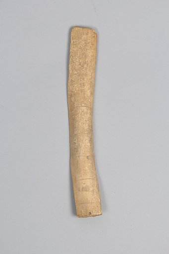 Oracle bone