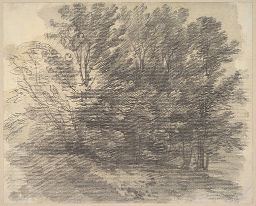 A clump of trees