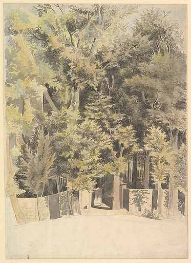 Trees by an entrance to a park