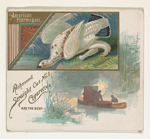 American Ptarmigan, from the Game Birds series (N40) for Allen & Ginter Cigarettes