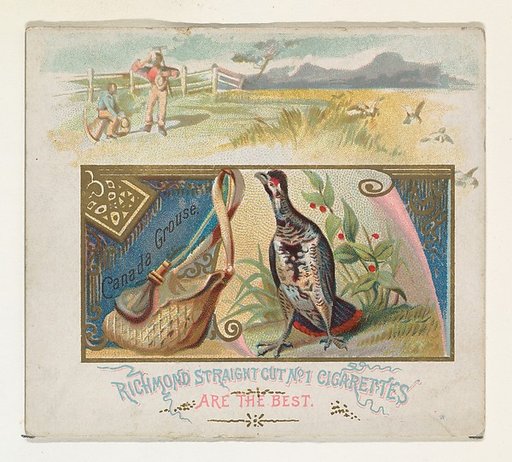 Canada Grouse, from the Game Birds series (N40) for Allen & Ginter Cigarettes