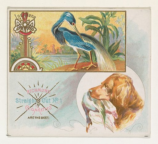 Louisiana Heron, from the Game Birds series (N40) for Allen & Ginter Cigarettes