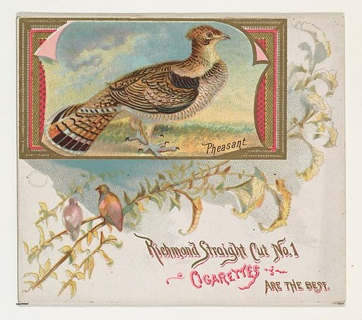 Pheasant, from the Game Birds series (N40) for Allen & Ginter Cigarettes