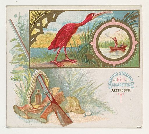Scarlet Ibis, from the Game Birds series (N40) for Allen & Ginter Cigarettes
