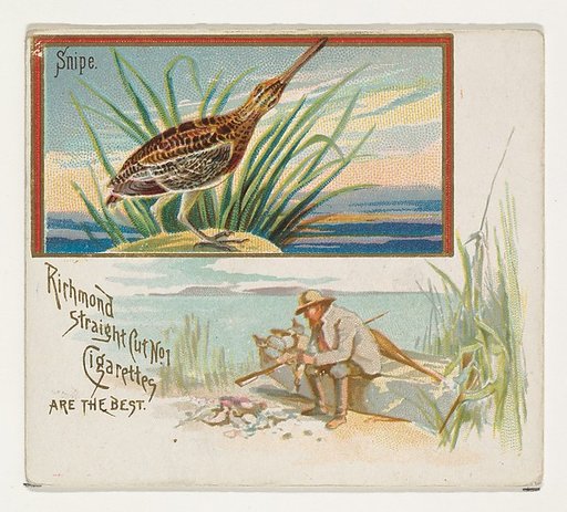 Snipe, from the Game Birds series (N40) for Allen & Ginter Cigarettes