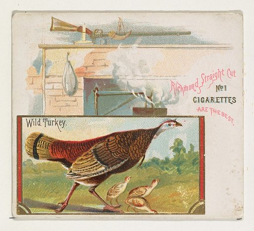 Wild Turkey, from the Game Birds series (N40) for Allen & Ginter Cigarettes