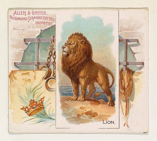 Lion, from Quadrupeds series (N41) for Allen & Ginter Cigarettes