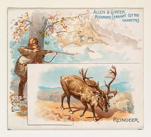 Reindeer, from Quadrupeds series (N41) for Allen & Ginter Cigarettes