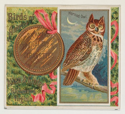 Horned Owl, from the Birds of America series (N37) for Allen & Ginter Cigarettes