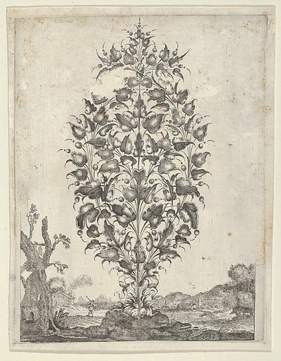 Goldsmith's Bouquet, from "Newes Lauberbuechlein"