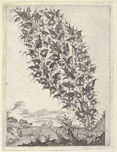 Goldsmith's Bouquet, from "Newes Lauberbuechlein"