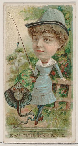 Ray Fish, or Skate, from the series Fishers and Fish (N74) for Duke brand cigarettes
