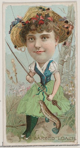 Barbed Loach, from the series Fishers and Fish (N74) for Duke brand cigarettes