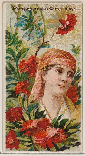 Pomegranate: Come to Me, from the series Floral Beauties and Language of Flowers (N75) for Duke brand cigarettes
