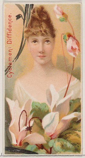Cyclamen: Diffidence, from the series Floral Beauties and Language of Flowers (N75) for Duke brand cigarettes