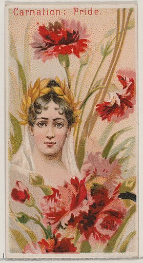 Carnation: Pride, from the series Floral Beauties and Language of Flowers (N75) for Duke brand cigarettes