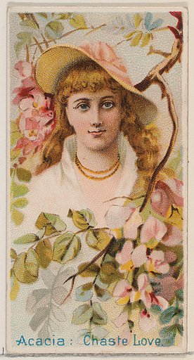 Acacia: Chaste Love, from the series Floral Beauties and Language of Flowers (N75) for Duke brand cigarettes