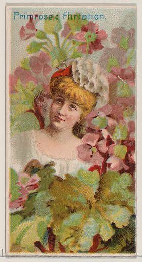 Primrose: Flirtation, from the series Floral Beauties and Language of Flowers (N75) for Duke brand cigarettes