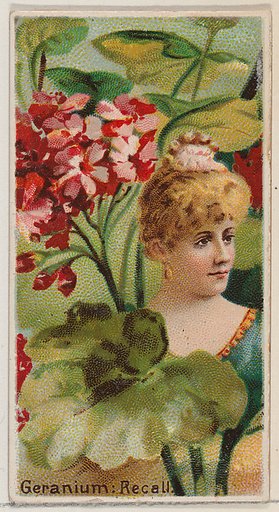 Geranium: Recall, from the series Floral Beauties and Language of Flowers (N75) for Duke brand cigarettes