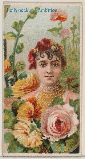 Hollyhock: Ambition, from the series Floral Beauties and Language of Flowers (N75) for Duke brand cigarettes