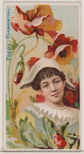 Poppy: Consolation, from the series Floral Beauties and Language of Flowers (N75) for Duke brand cigarettes