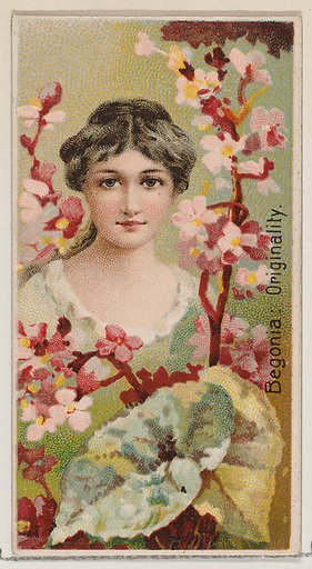 Begonia: Originality, from the series Floral Beauties and Language of Flowers (N75) for Duke brand cigarettes