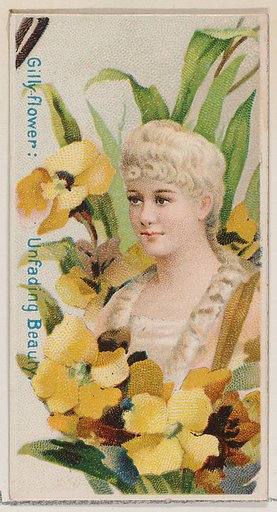 Gilly-flower: Unfading Beauty, from the series Floral Beauties and Language of Flowers (N75) for Duke brand cigarettes