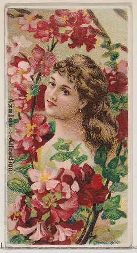 Azalea: Attraction, from the series Floral Beauties and Language of Flowers (N75) for Duke brand cigarettes