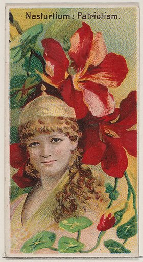 Nasturtium: Patriotism, from the series Floral Beauties and Language of Flowers (N75) for Duke brand cigarettes
