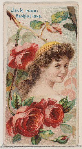 Jack Rose: Bashful Love, from the series Floral Beauties and Language of Flowers (N75) for Duke brand cigarettes