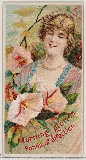 Morning Glories: Bonds of Affection, from the series Floral Beauties and Language of Flowers (N75) for Duke brand cigarettes
